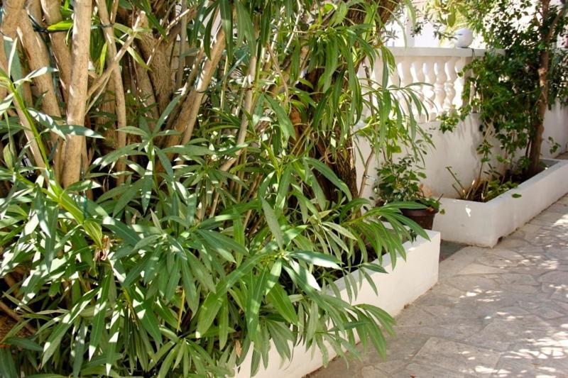 Apartments Jasmin 特罗吉尔 外观 照片
